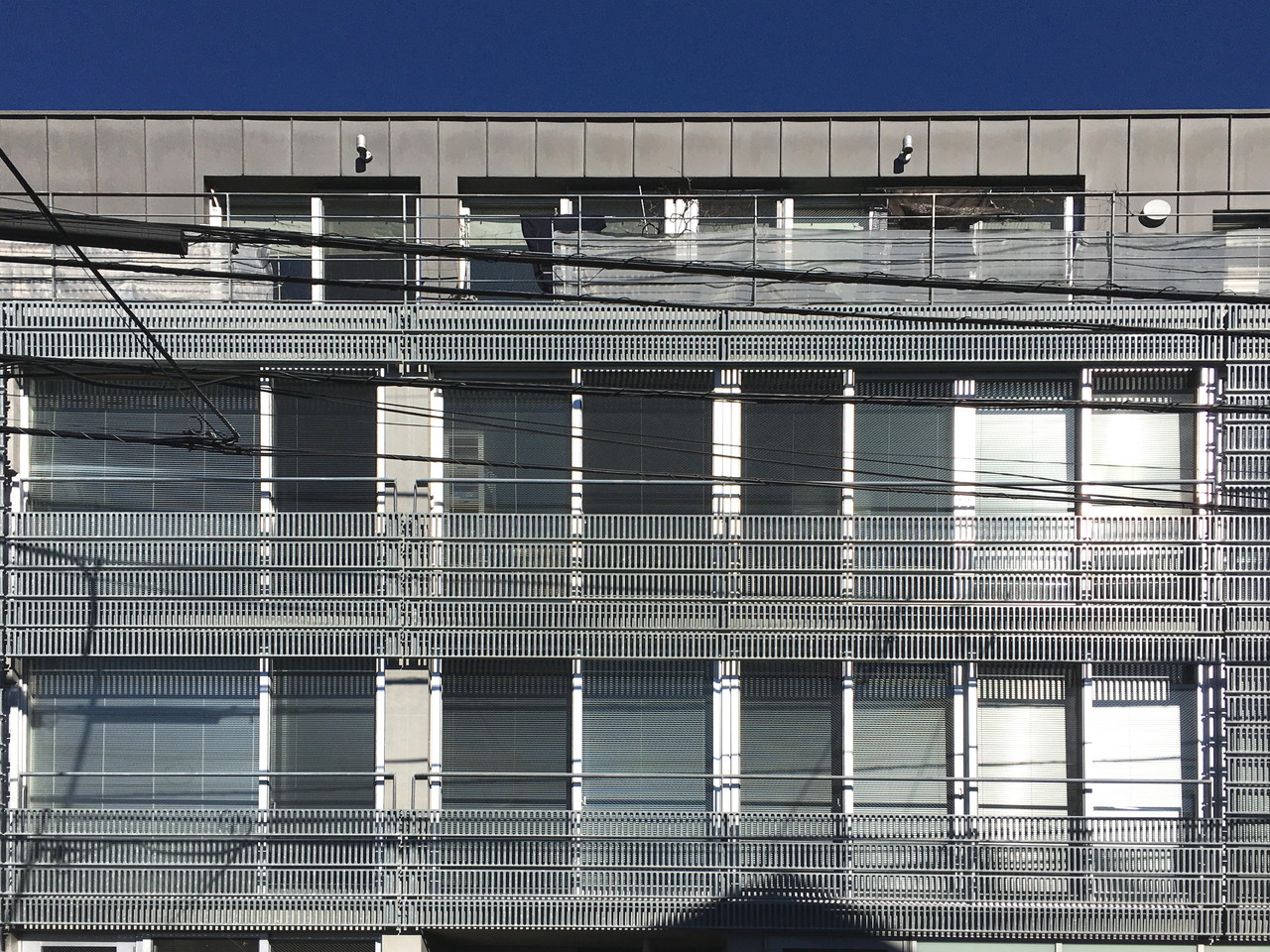 thyme 102の写真13