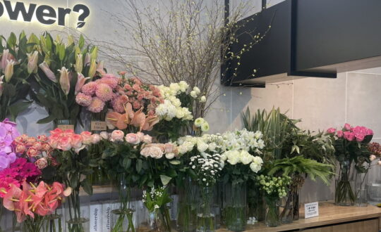 circoの周辺環境