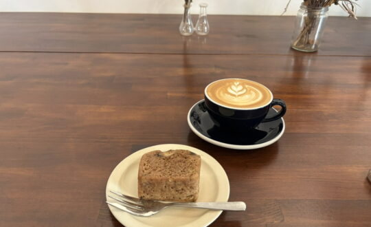 alefiaの周辺環境