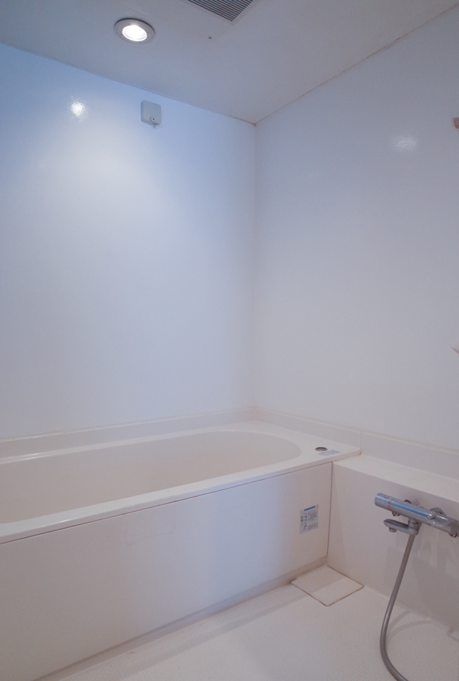 al domino 101の写真7