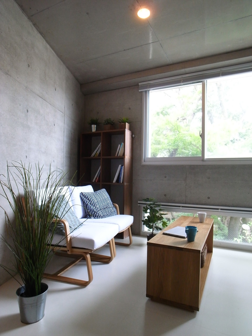 circo 204の写真6