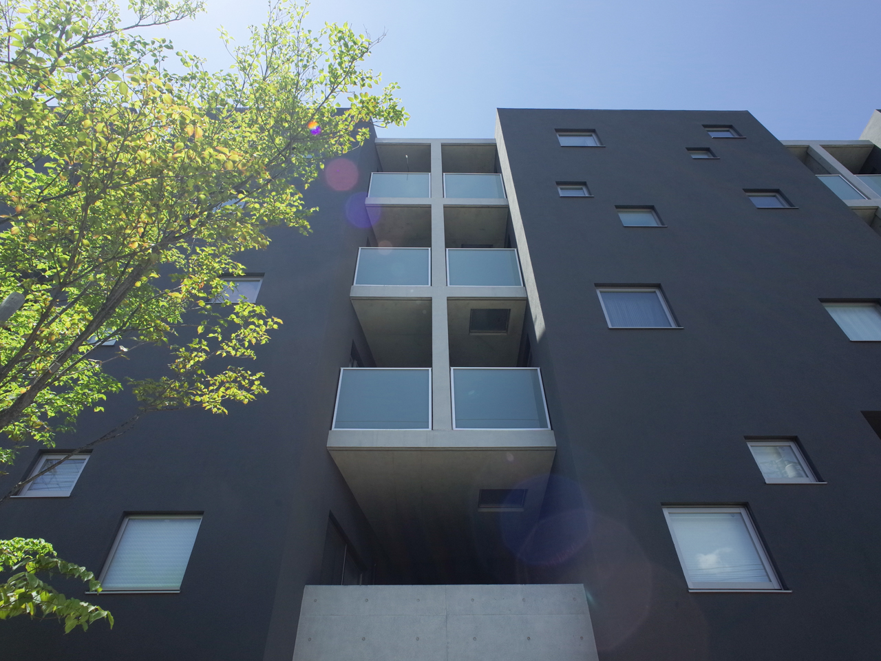 REUGE　NOIR 407の写真11