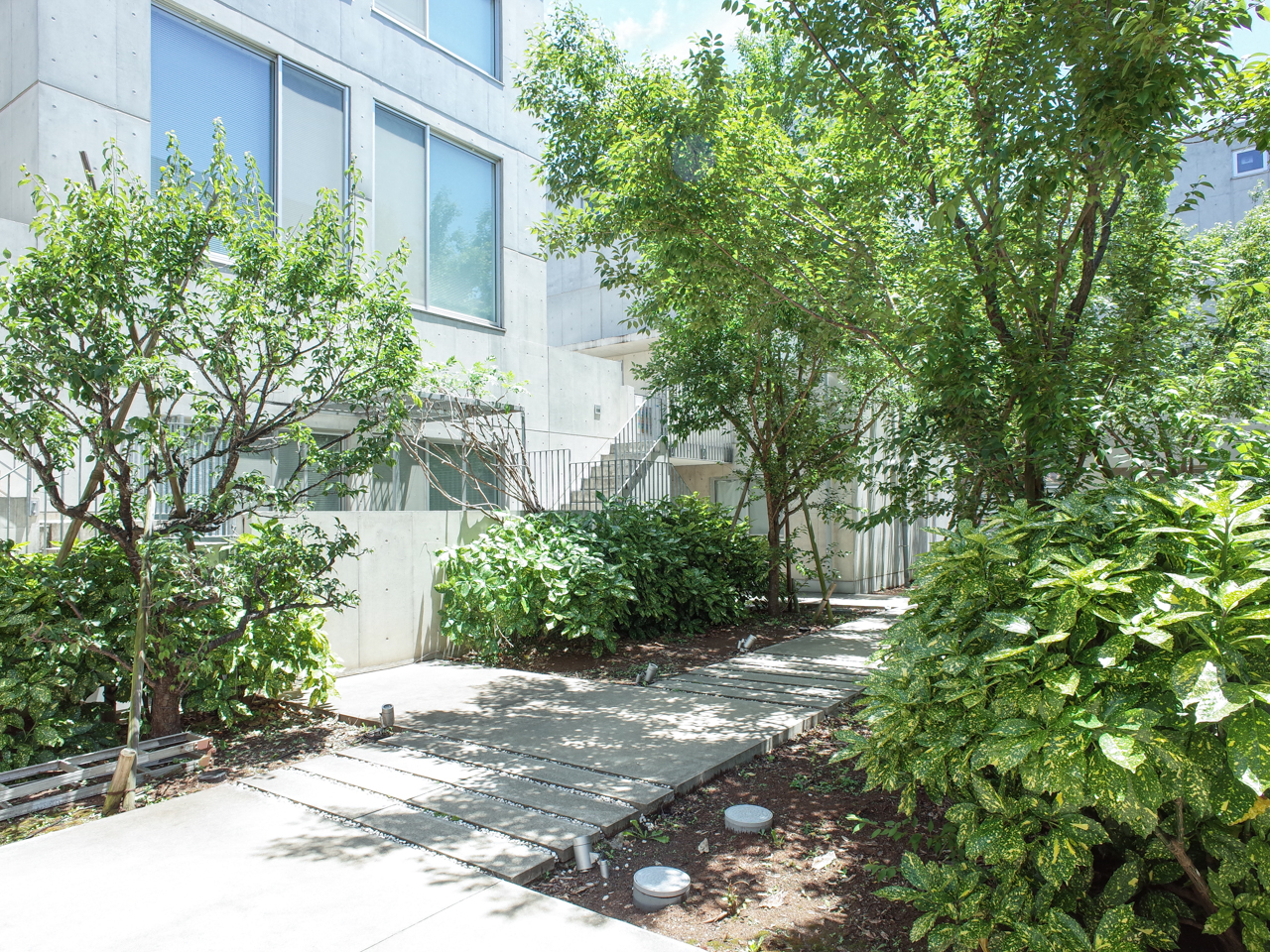 ATRIA 205の写真13