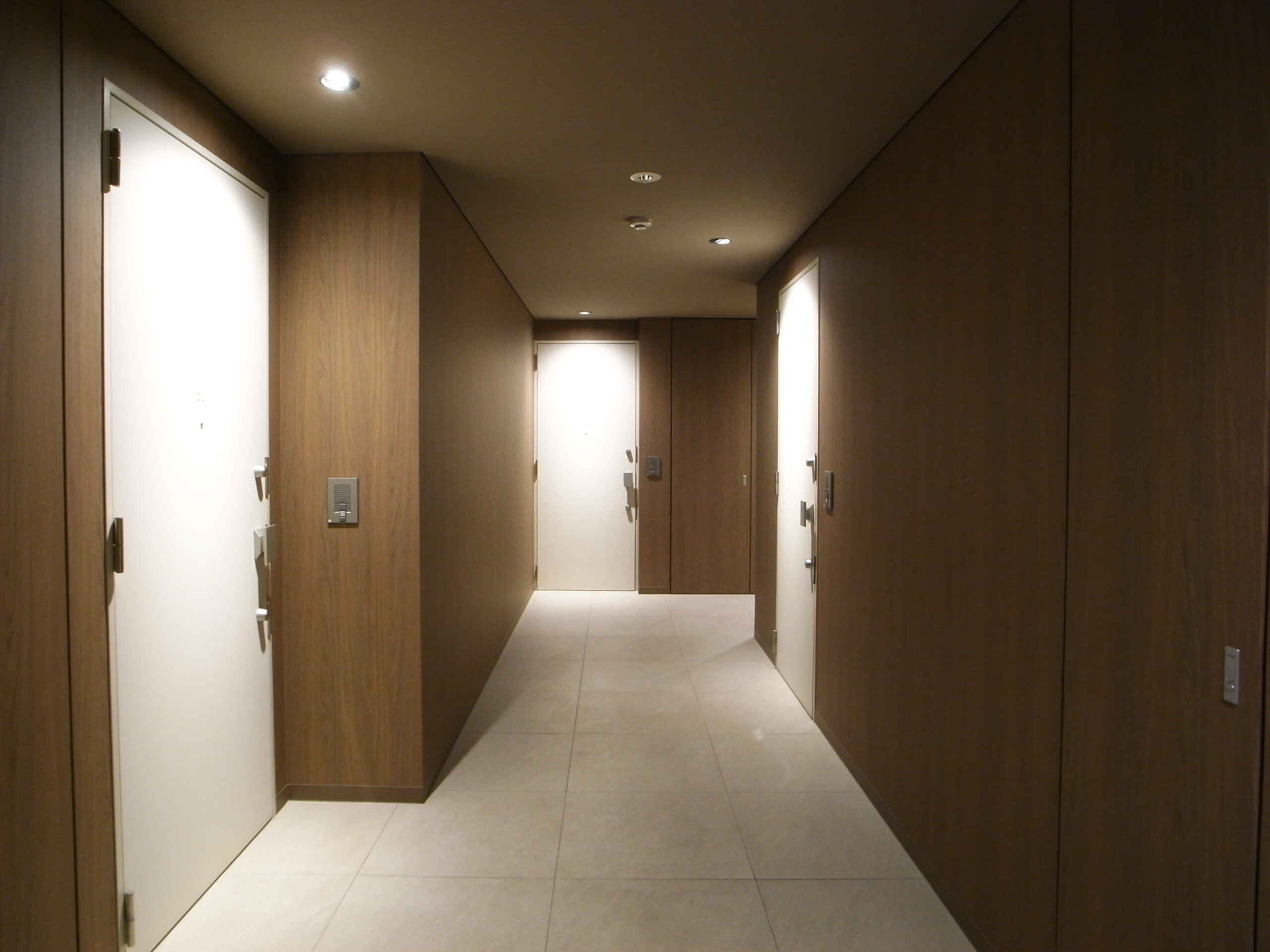 alefia 504の写真7