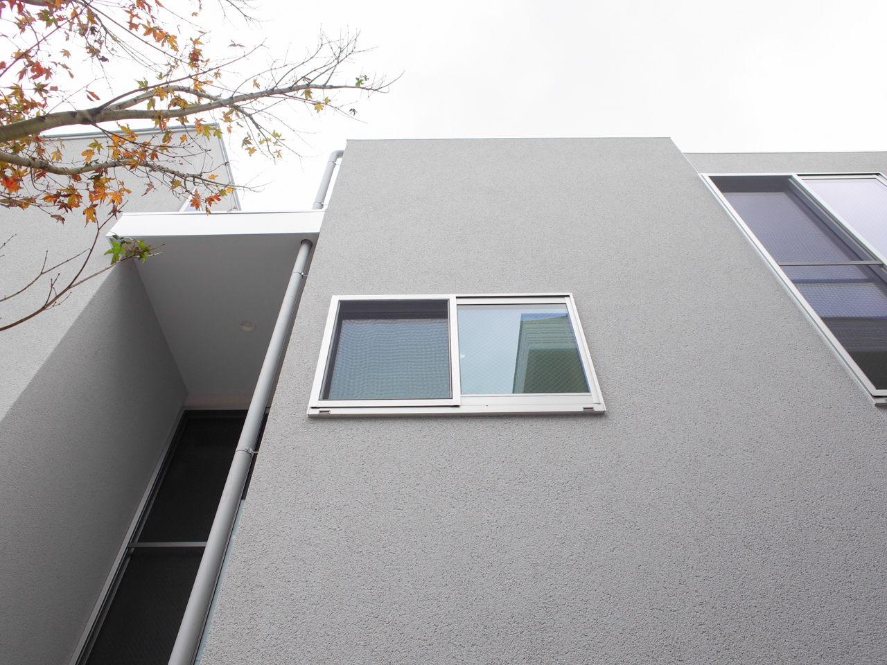 torre　700の写真13