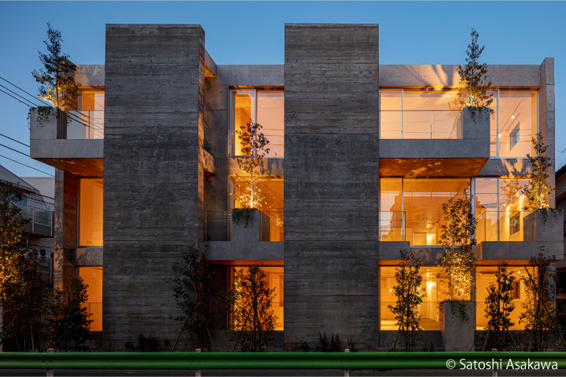 TREES 103の写真14