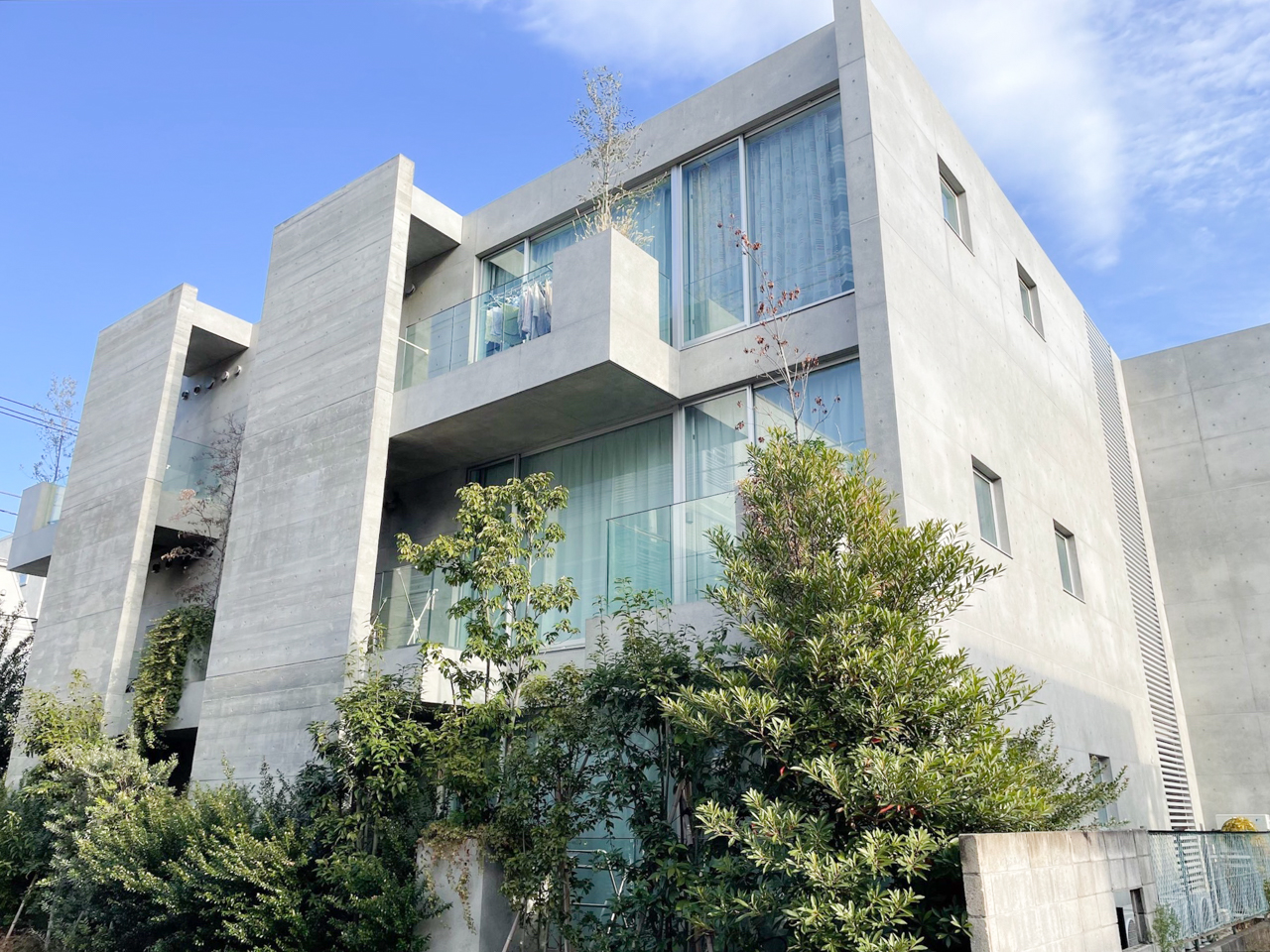 TREES 103の写真12