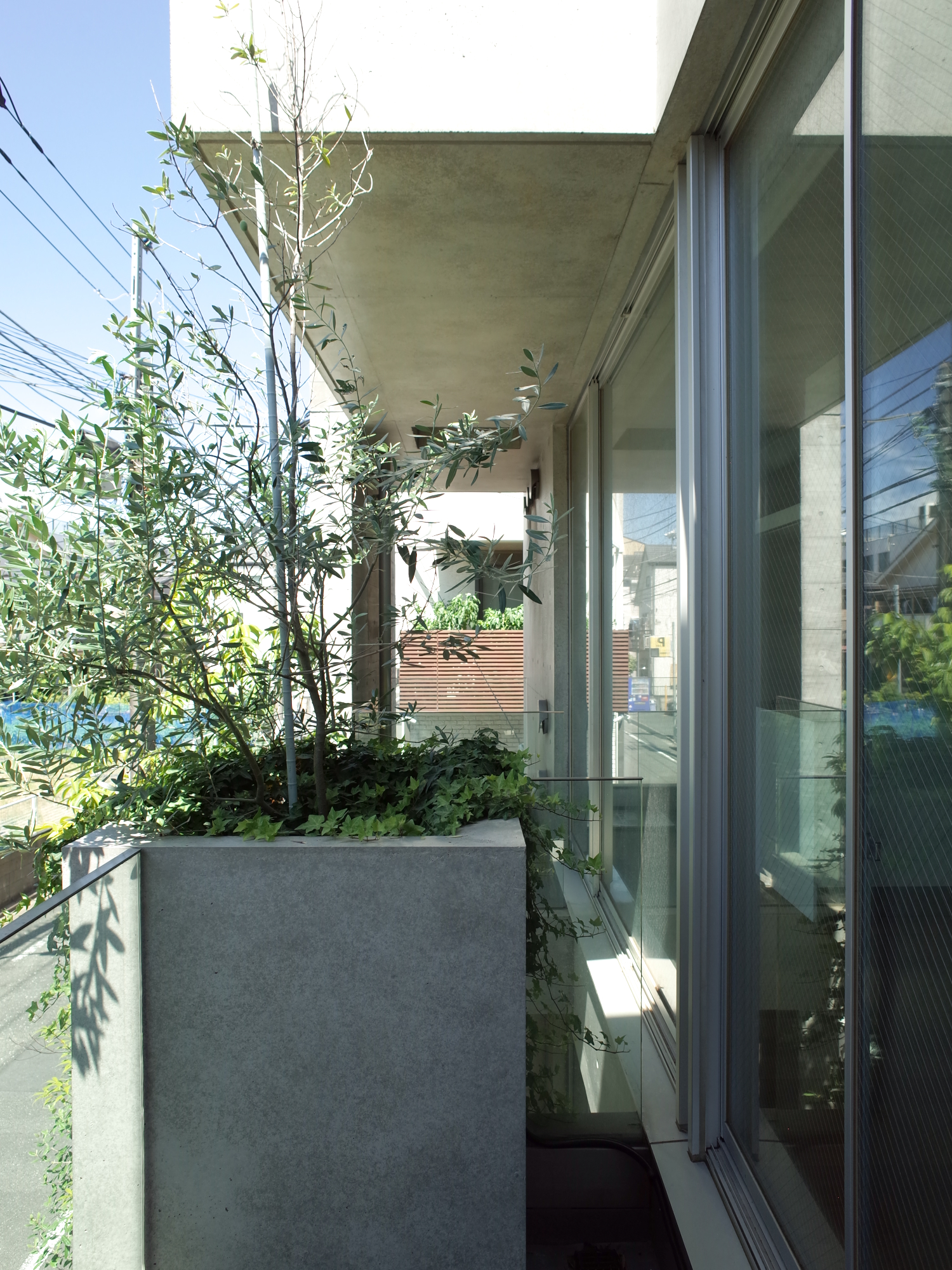 TREES　203の写真11