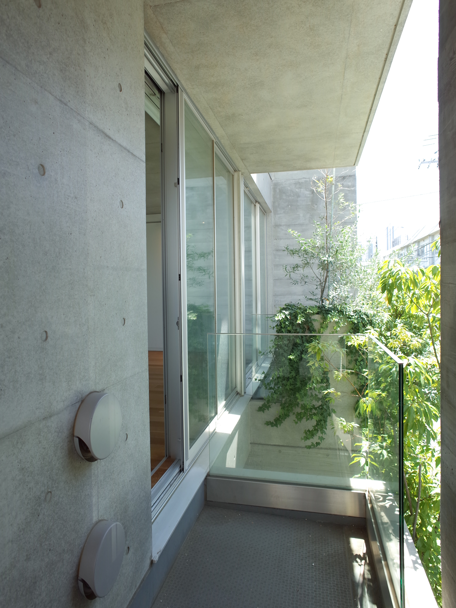 TREES　203の写真10