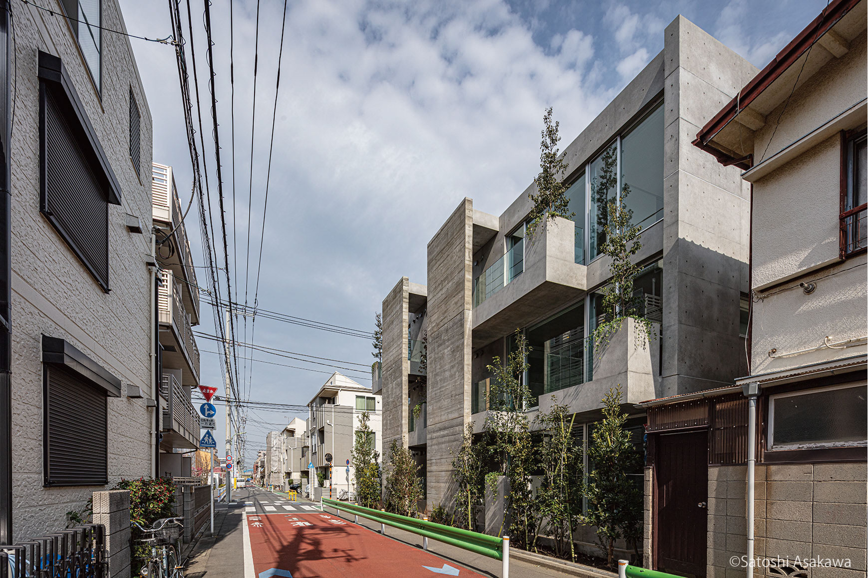 TREES 103の写真15