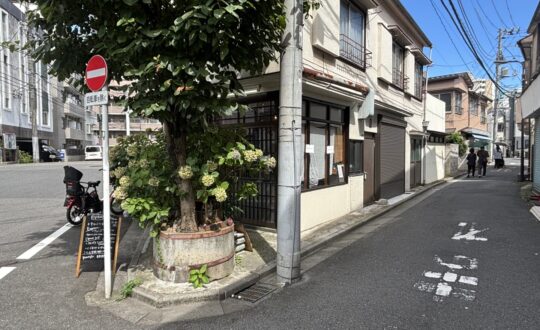 33 1/3 rpmの周辺環境