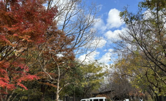 COLLAGE  HOUSEの周辺環境