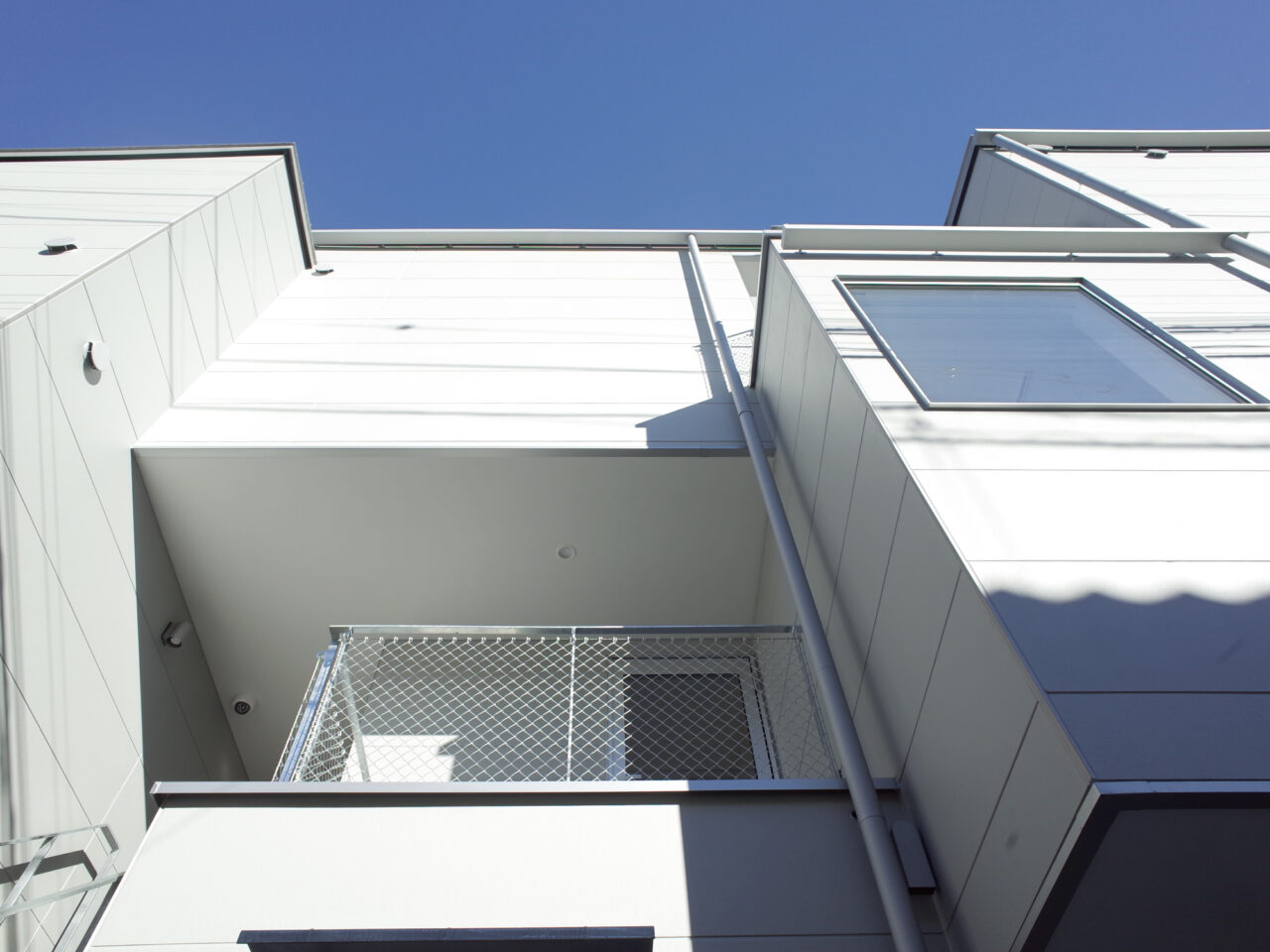 COLLAGE HOUSE　竣工しました！