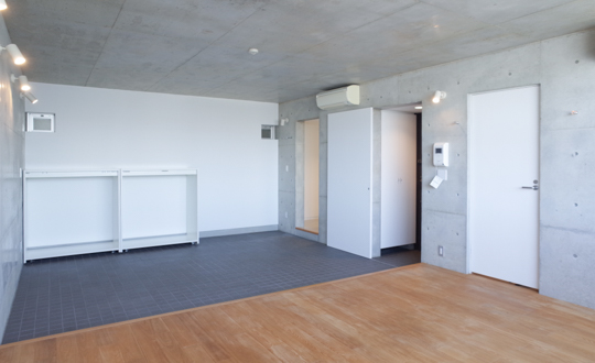 新着情報～schirmberg他～