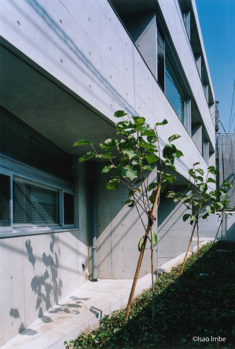 solevante 301の写真12