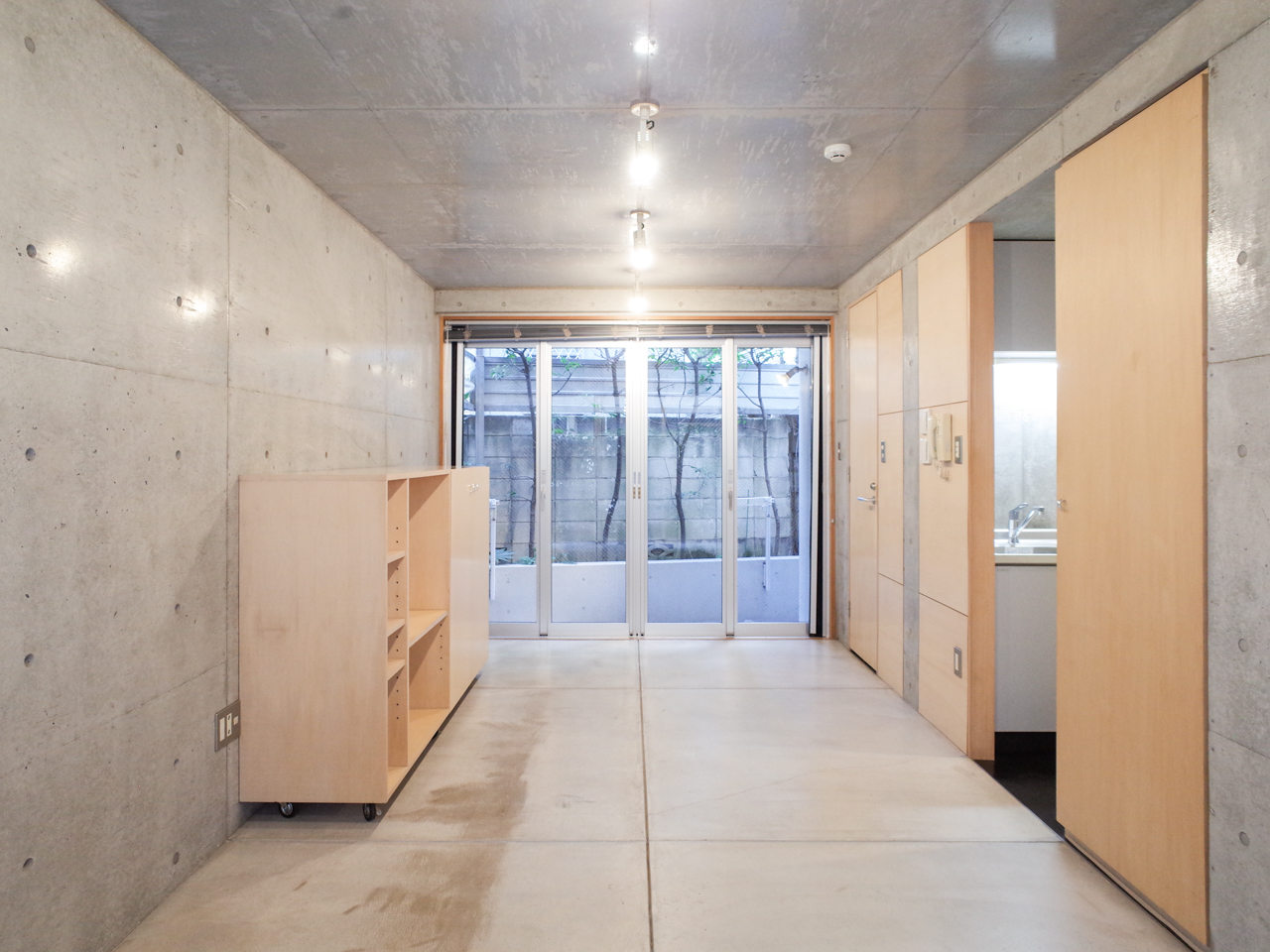 zephyr 101の写真2