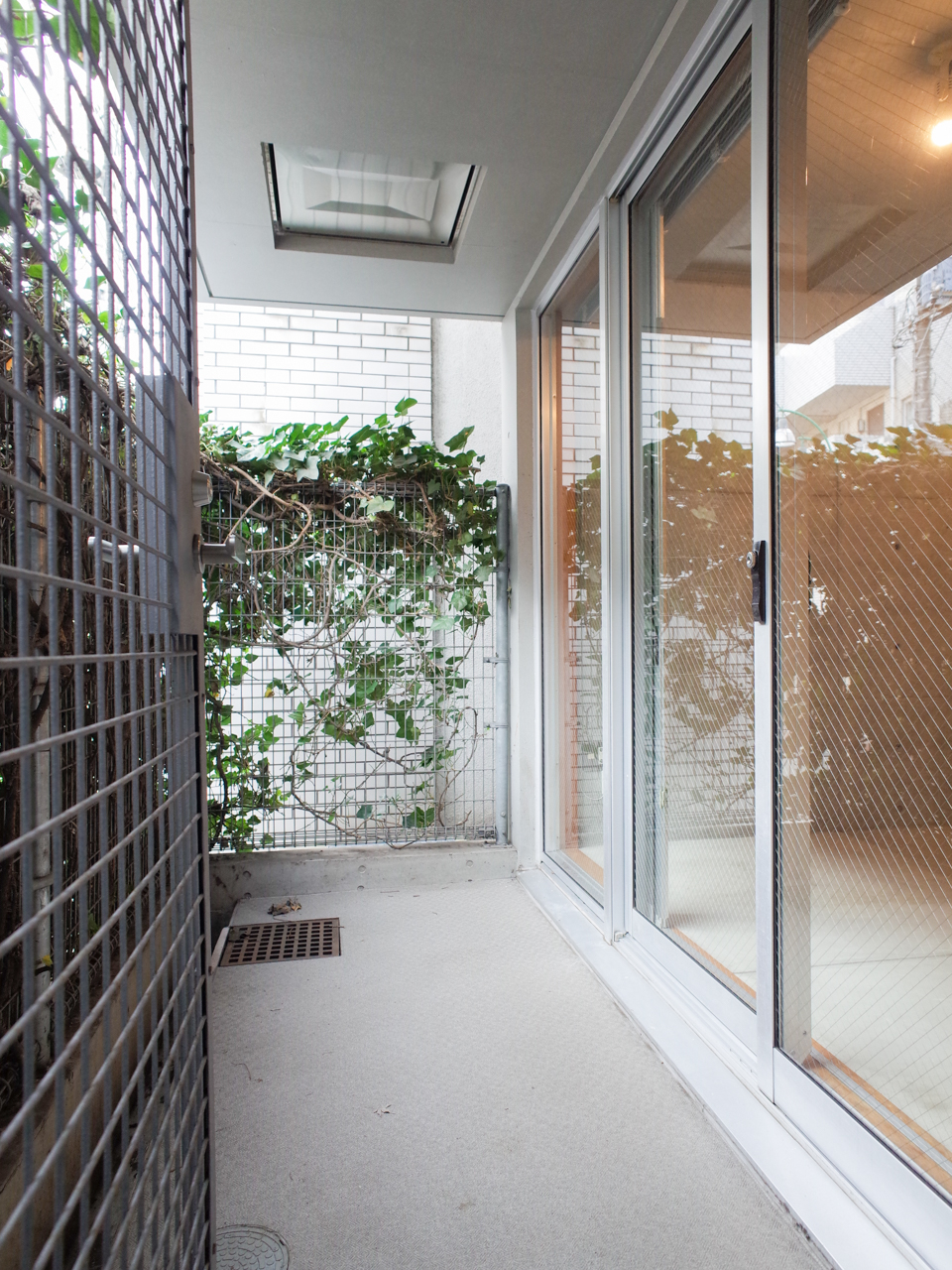 zephyr 101の写真12