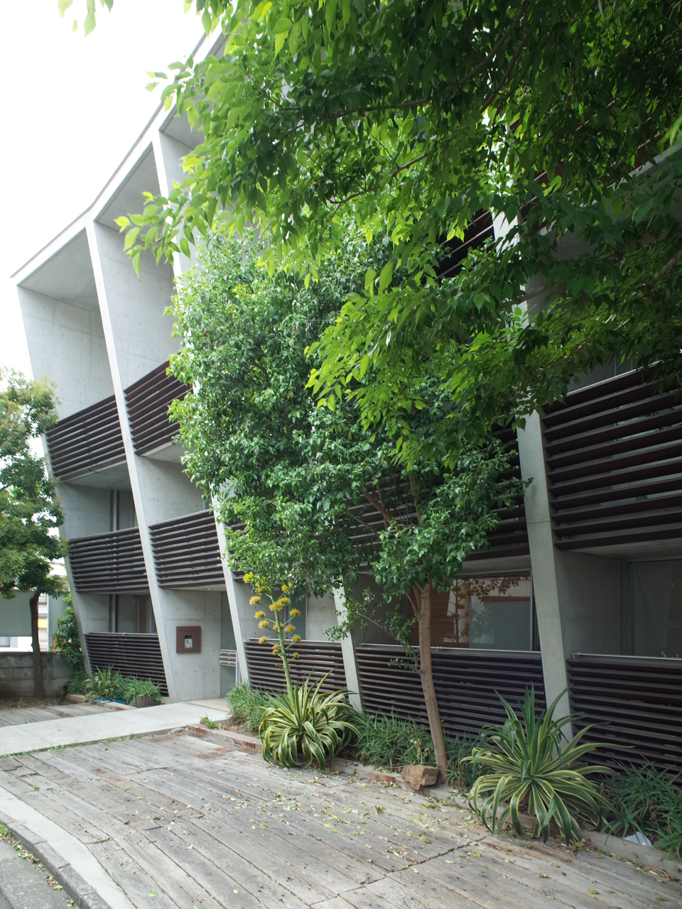 KAFKA HAUS 105の写真11