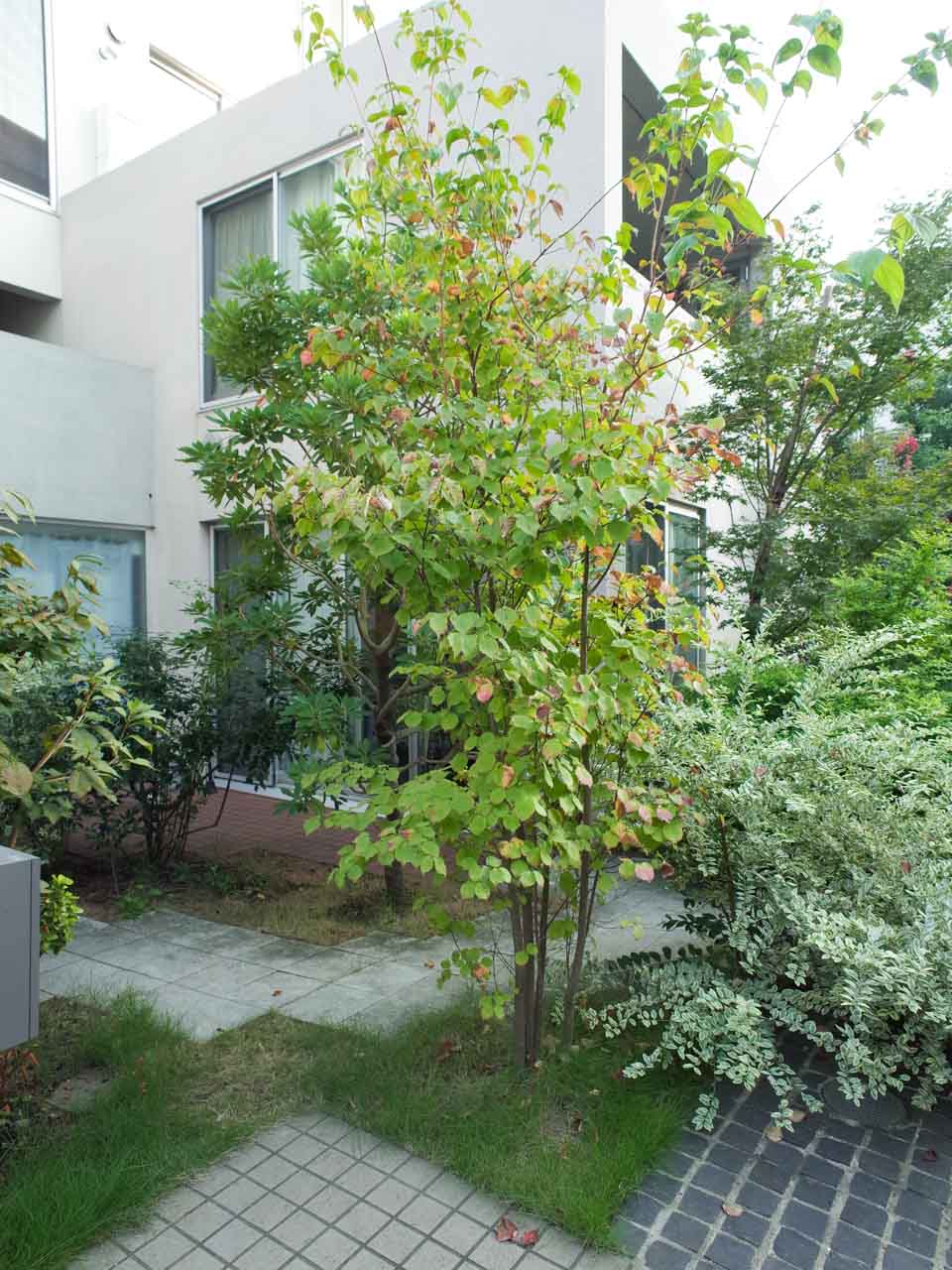 KAMIUMA PLACE 107の写真12